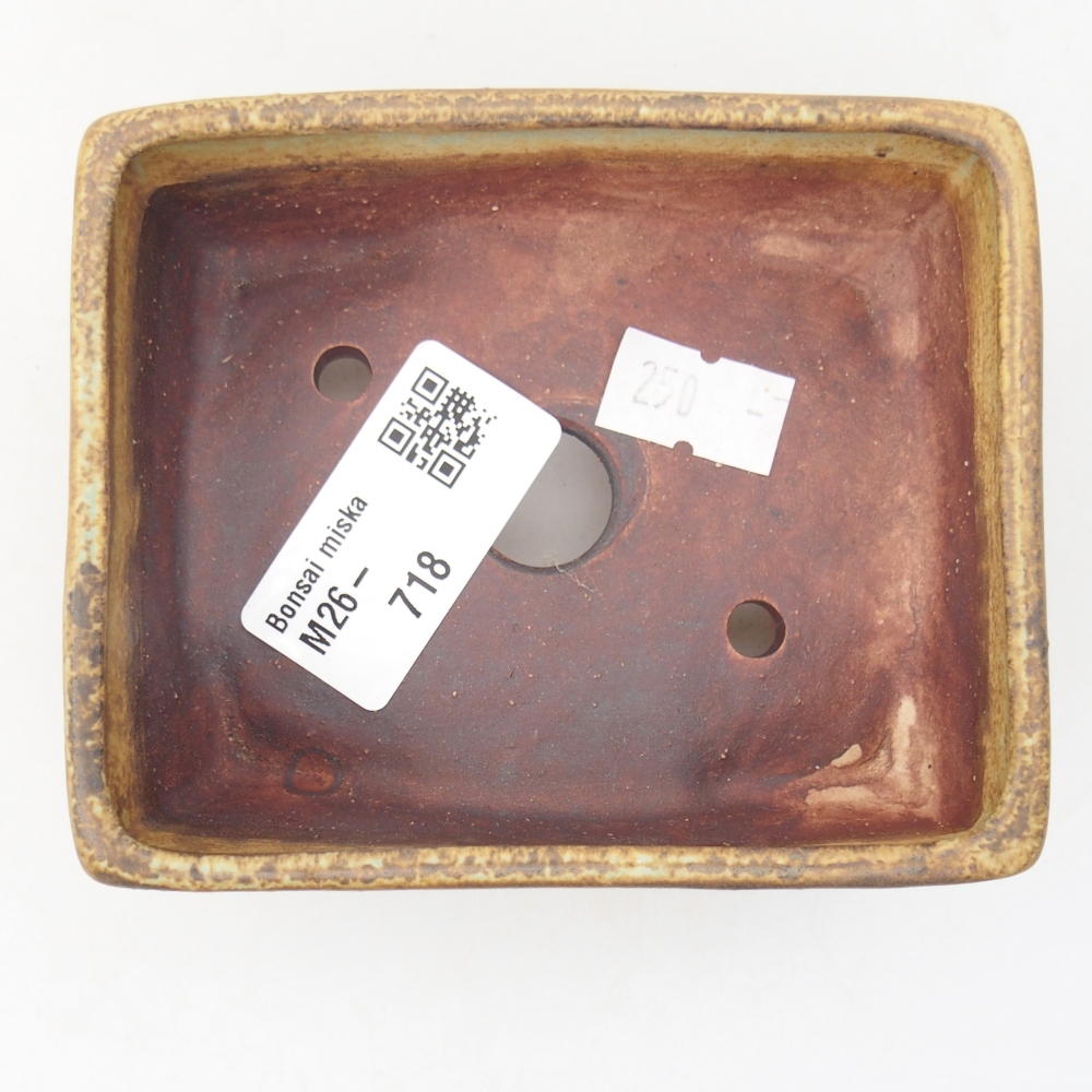 Bonsaischaal van keramiek 10 x 8 x 4 cm, groen