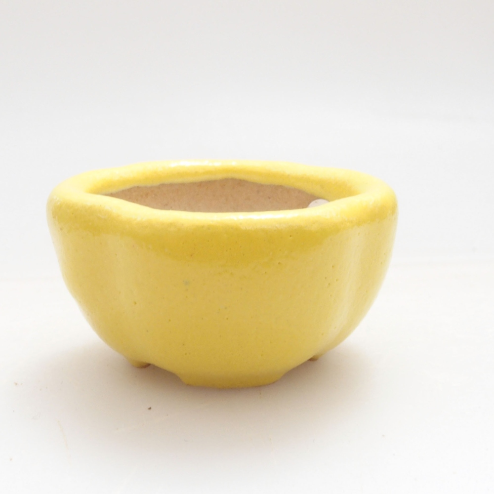 Bonsaischaaltje van keramiek 4 x 4 x 2 cm, geel