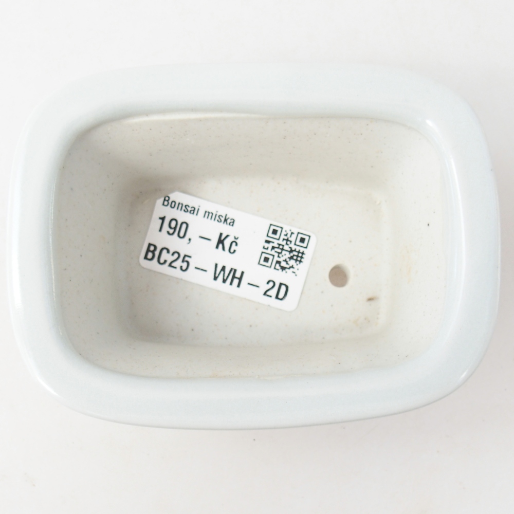 Mini bonsaischaal 10 x 7,5 x 4 cm, kleur wit