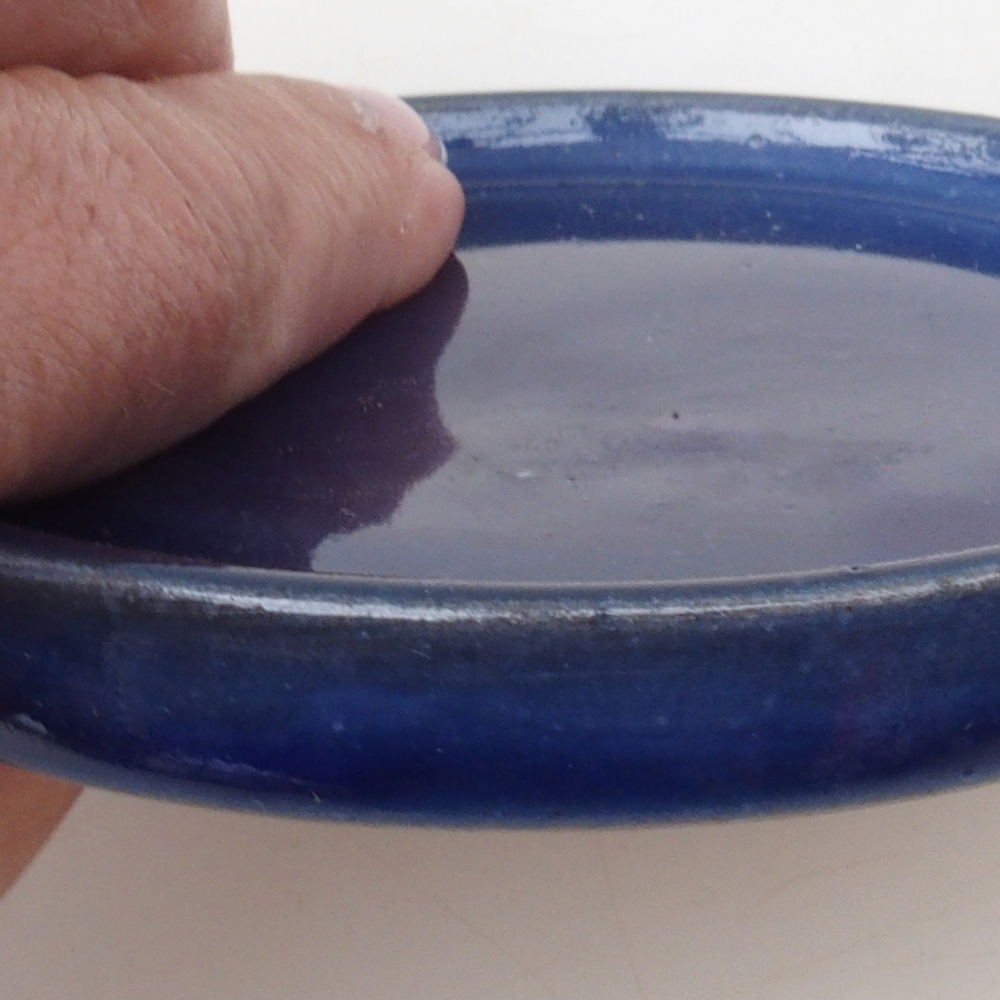 Ronde Bonsai Container D6-S - 10 x 10 x 1 cm - blauw