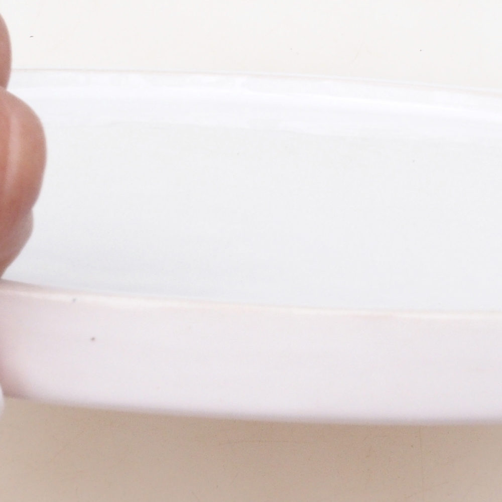 Ronde Bonsaicontainer D7-L - 28 x 28 x 1,5 cm - wit