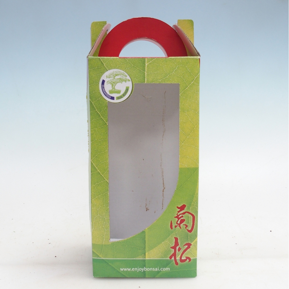 Bonsai geschenkdoos - papier