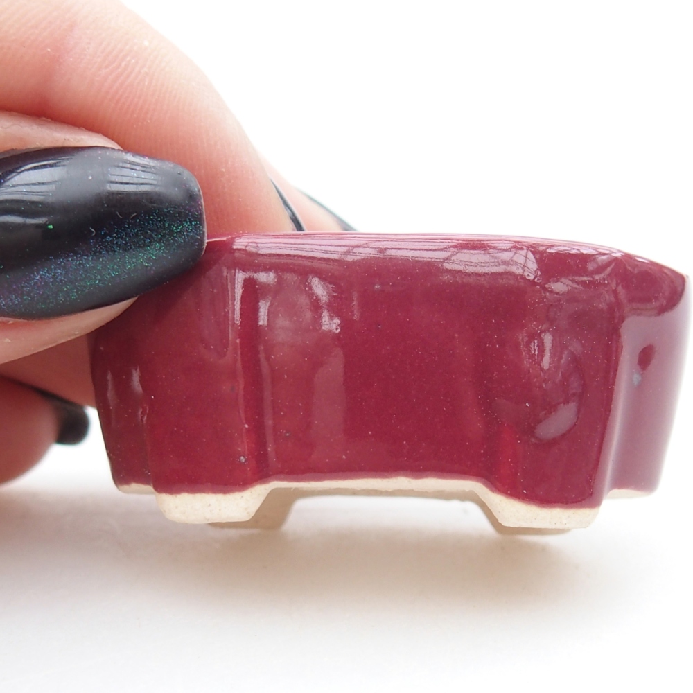 Mini bonsaischaal 4,5 x 2,5 x 2 cm, kleur bordeauxrood