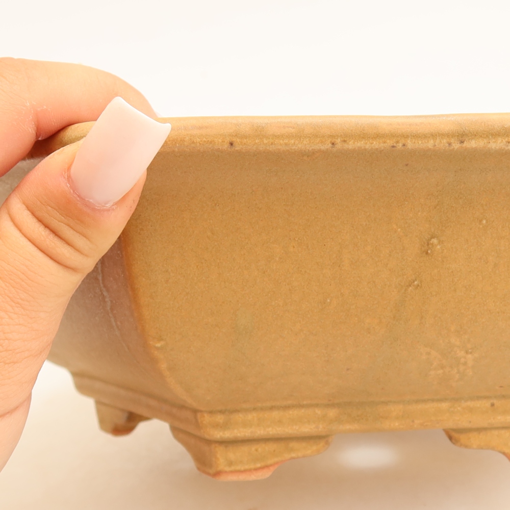 Keramische bonsaipot 24 x 21,5 x 7,5 cm, kleur: beige