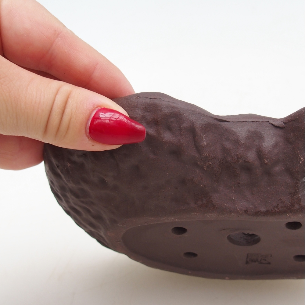 Keramisch Schelp 17 x 12 x 3 cm , kleur bruin