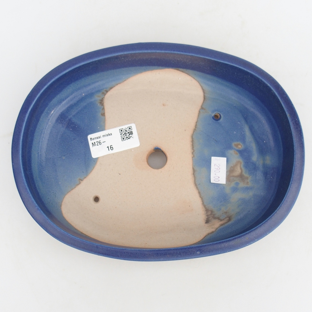 Bonsaischaal van keramiek 22,5 x 17 x 4,5 cm, kleur blauw