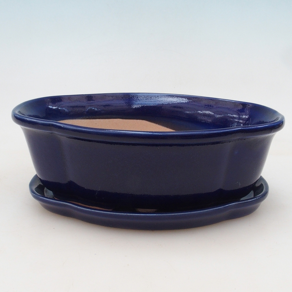 Bonsai kom + schotel H75 - blauw