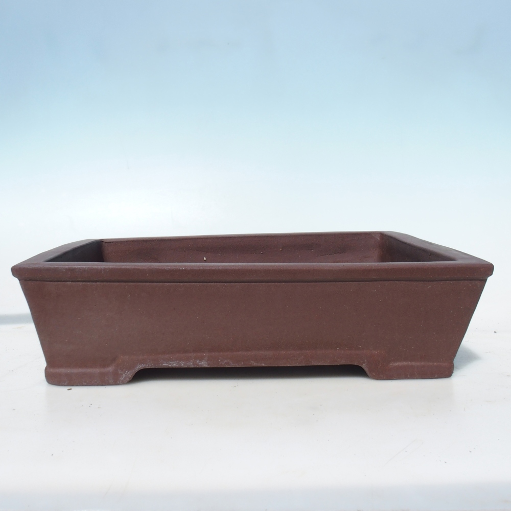 Bonsaischaal 40 x 32,5 x 10,5 cm berken bruin