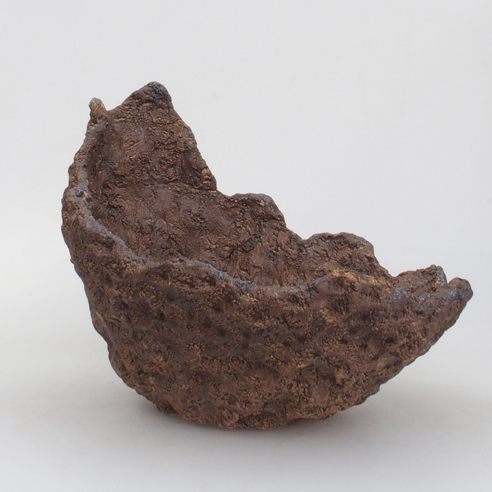 Keramisch Schelp 22 x 20 x 20,5 cm , kleur bruin