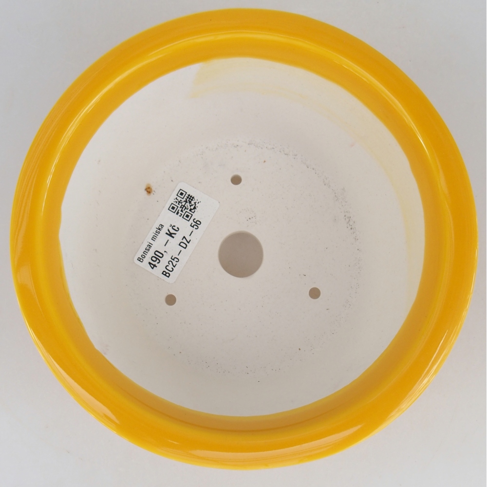 Bonsaischaal van keramiek 16 x 16 x 8,5 cm, geel
