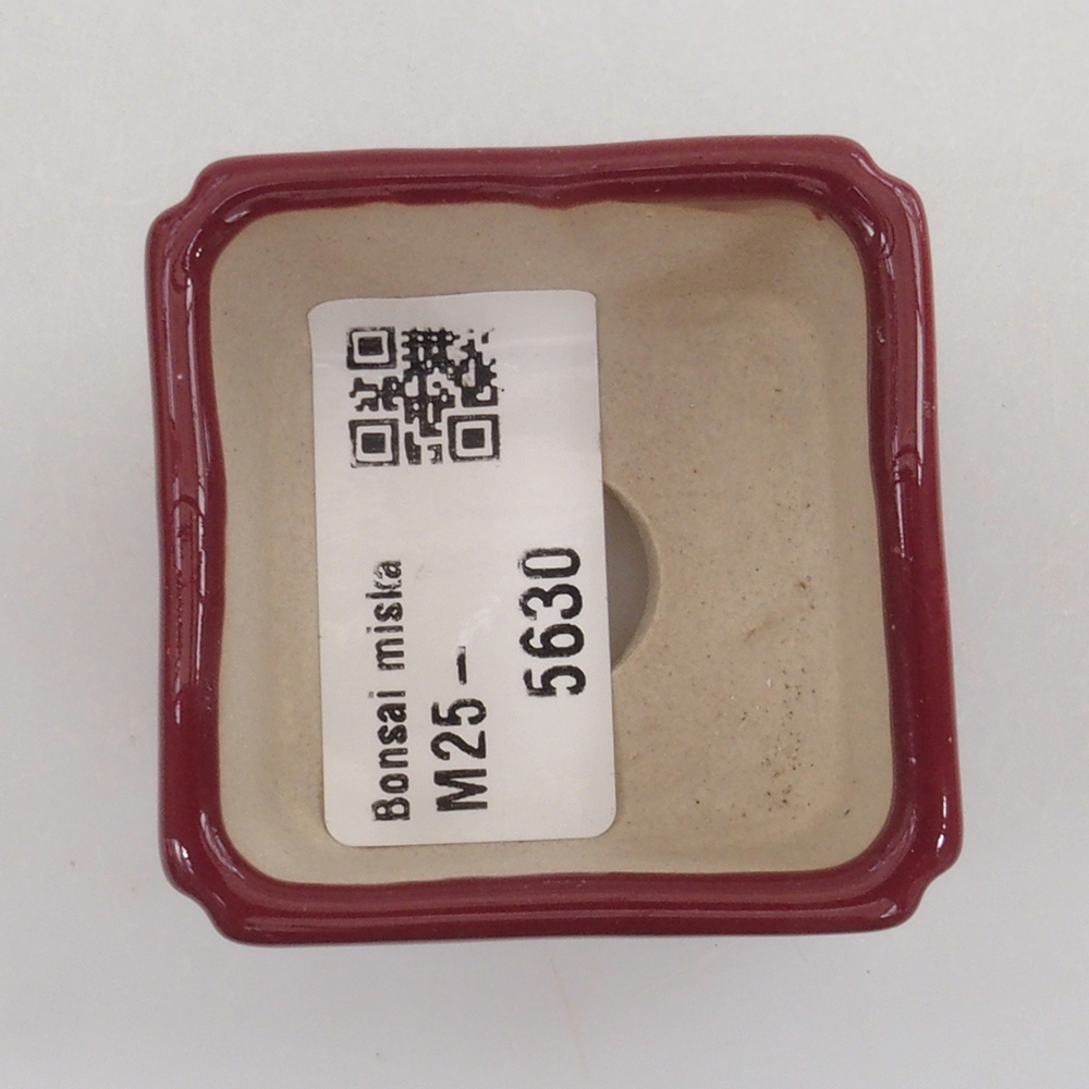 Mini bonsaischaal 4,5 x 4,5 x 3 cm, bordeauxrood
