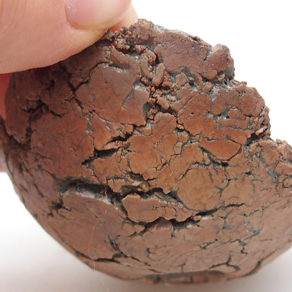 Schelp van keramiek 7,5 x 7 x 4 cm , kleur groen