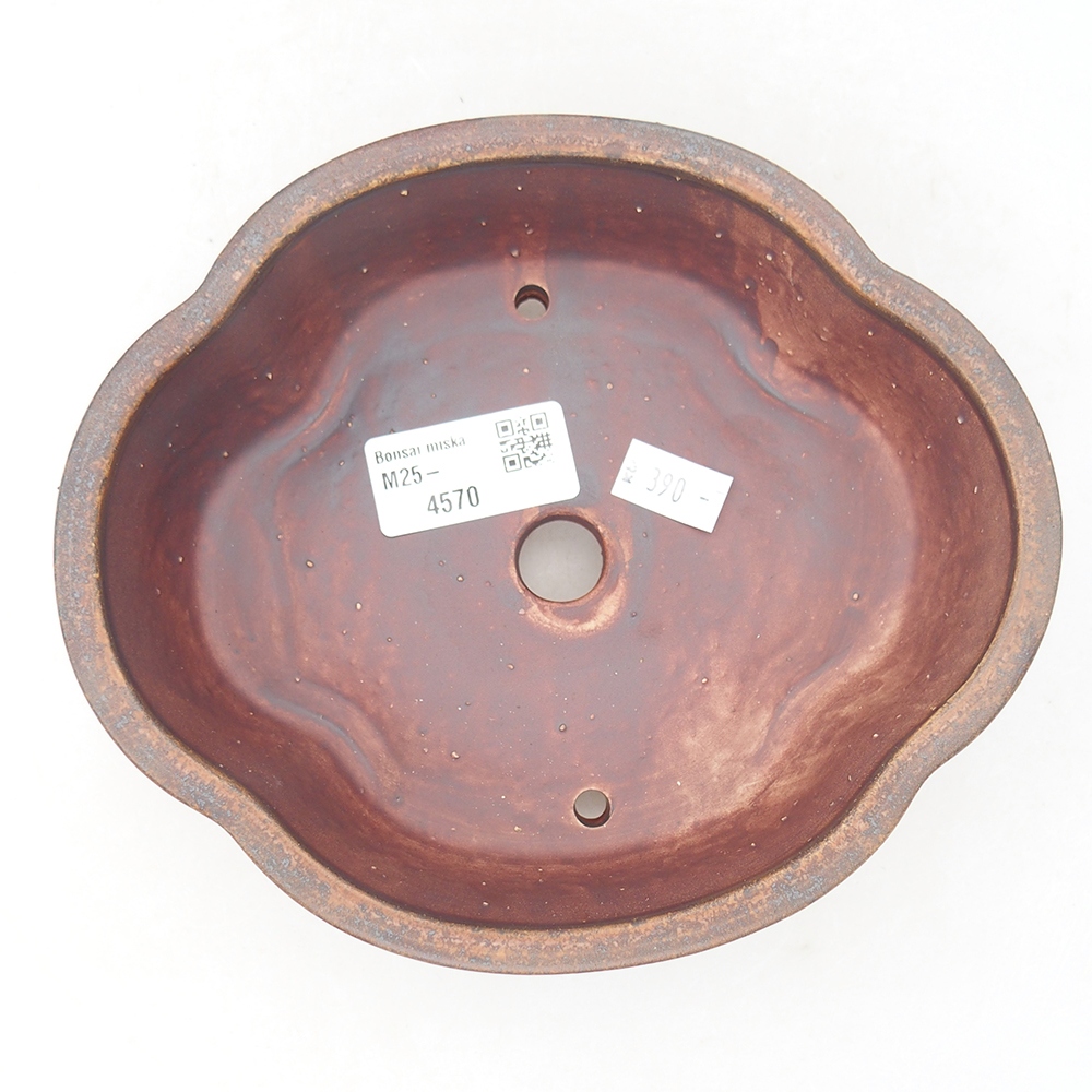 Bonsaischaal van keramiek 17 x 15,5 x 5,5 cm, bruin