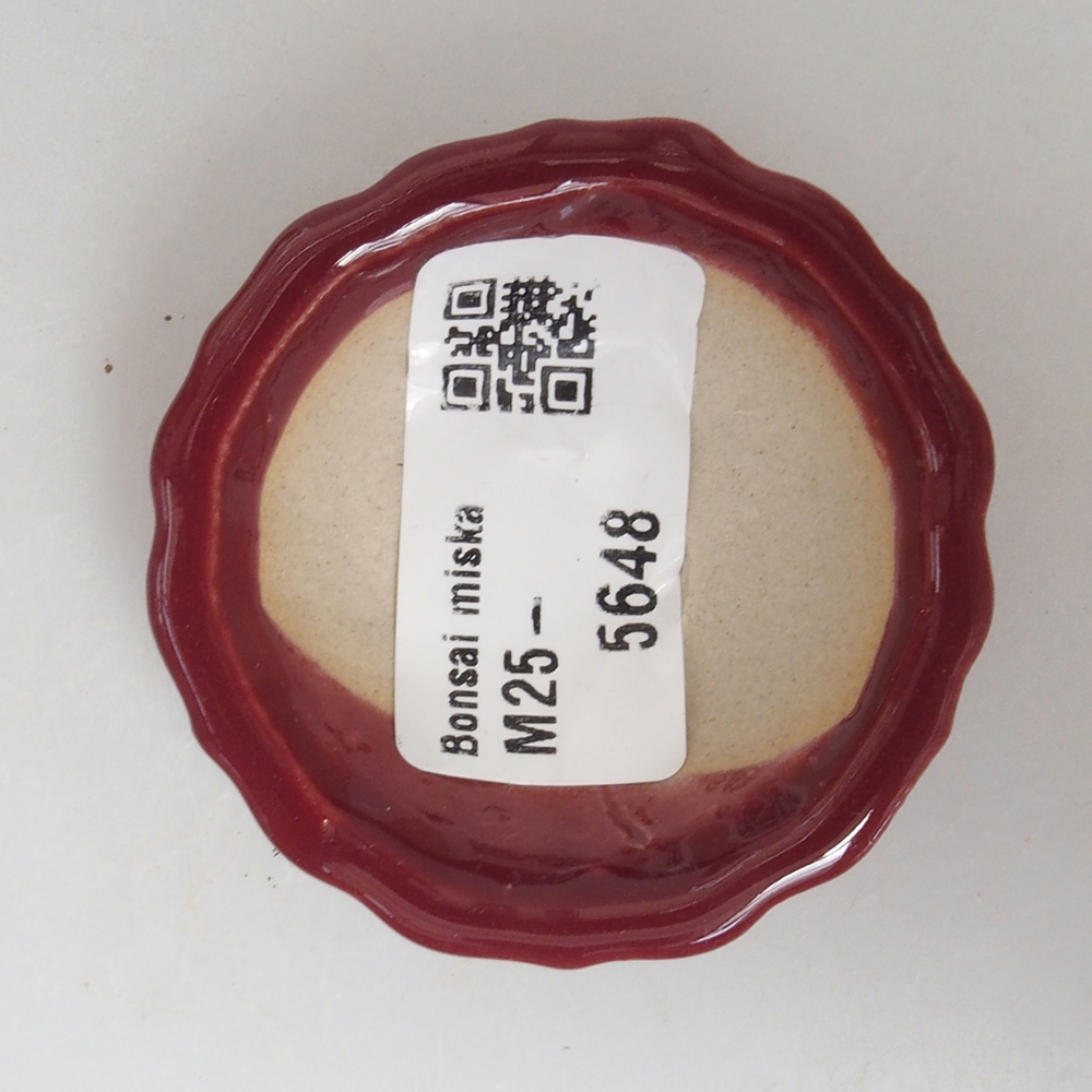 Mini bonsaischaal 5 x 5 x 1,5 cm, kleur bordeauxrood