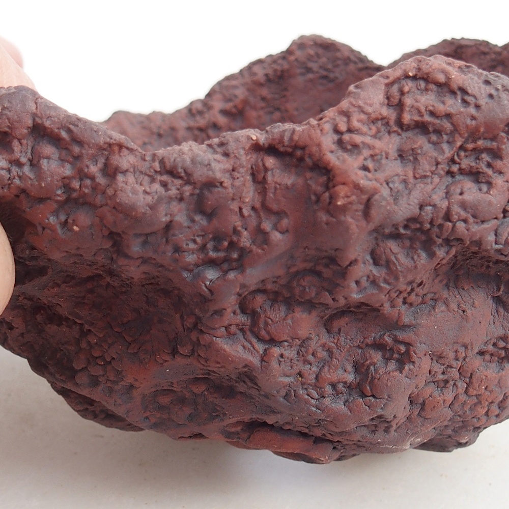 Keramisch Schelp 13 x 11 x 12 cm , kleur bruin