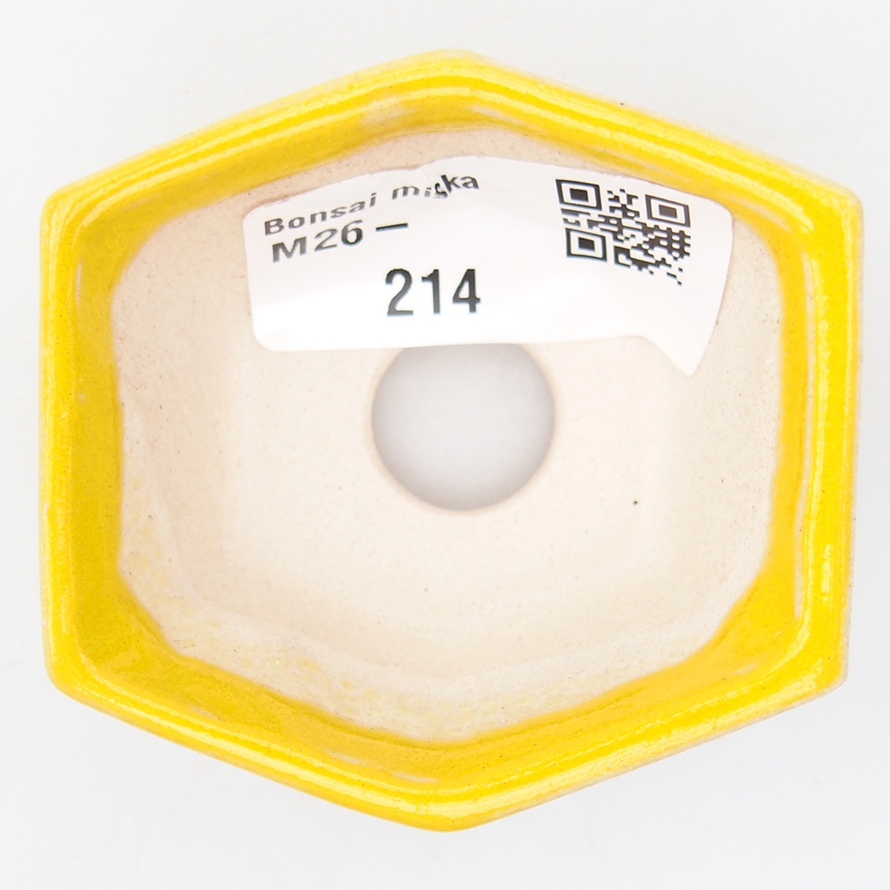 Mini bonsaischaal 6 x 5,5 x 2,5 cm, geel