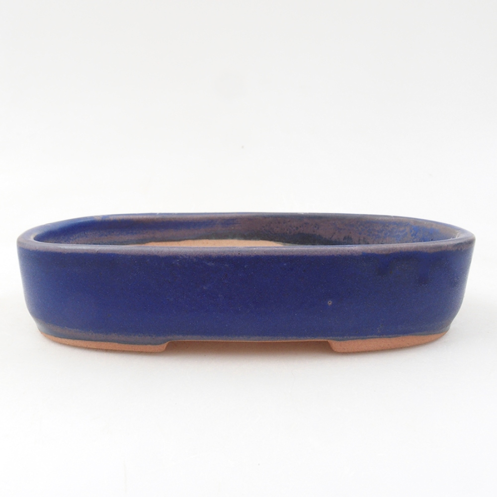 Bonsaischaal van keramiek 16 x 11 x 3,5 cm, kleur blauw