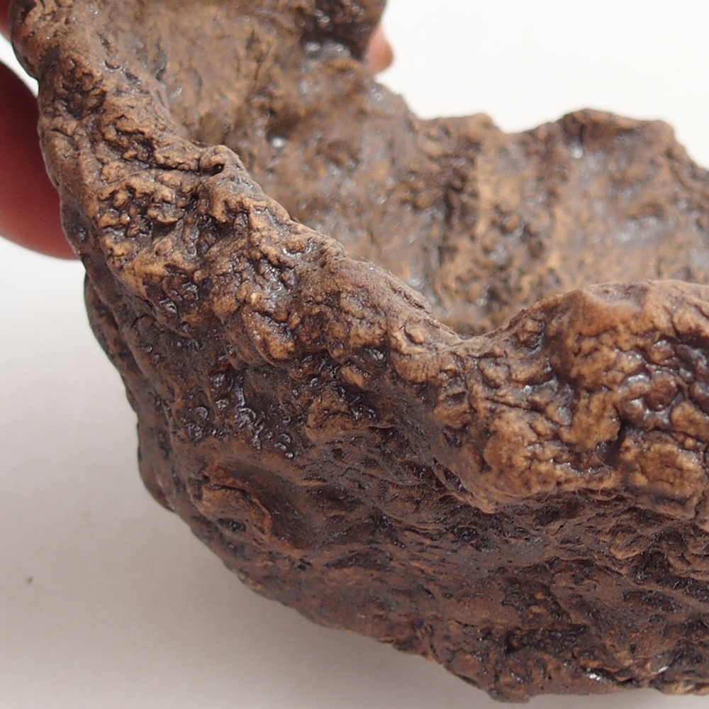 Keramisch Schelp 10 x 9 x 9 cm , kleur bruin