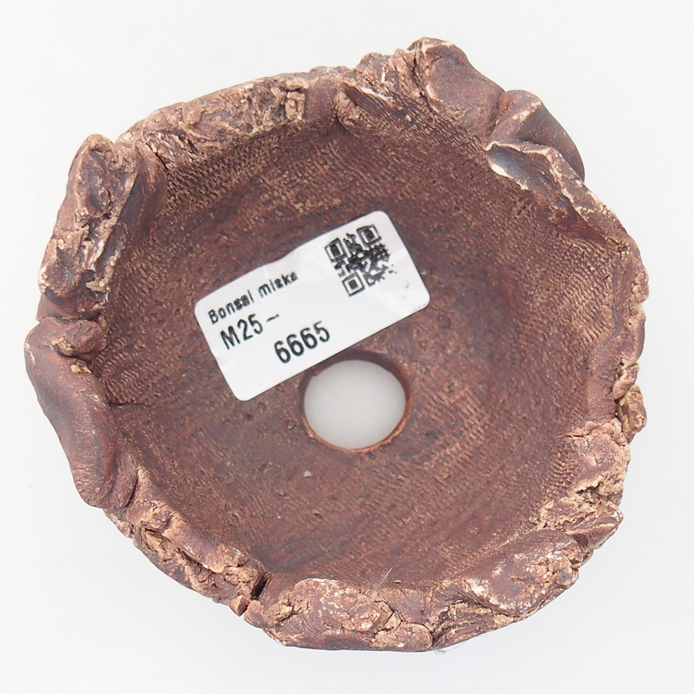 Keramisch Schelp 9,5 x 9 x 7 cm , kleur bruin