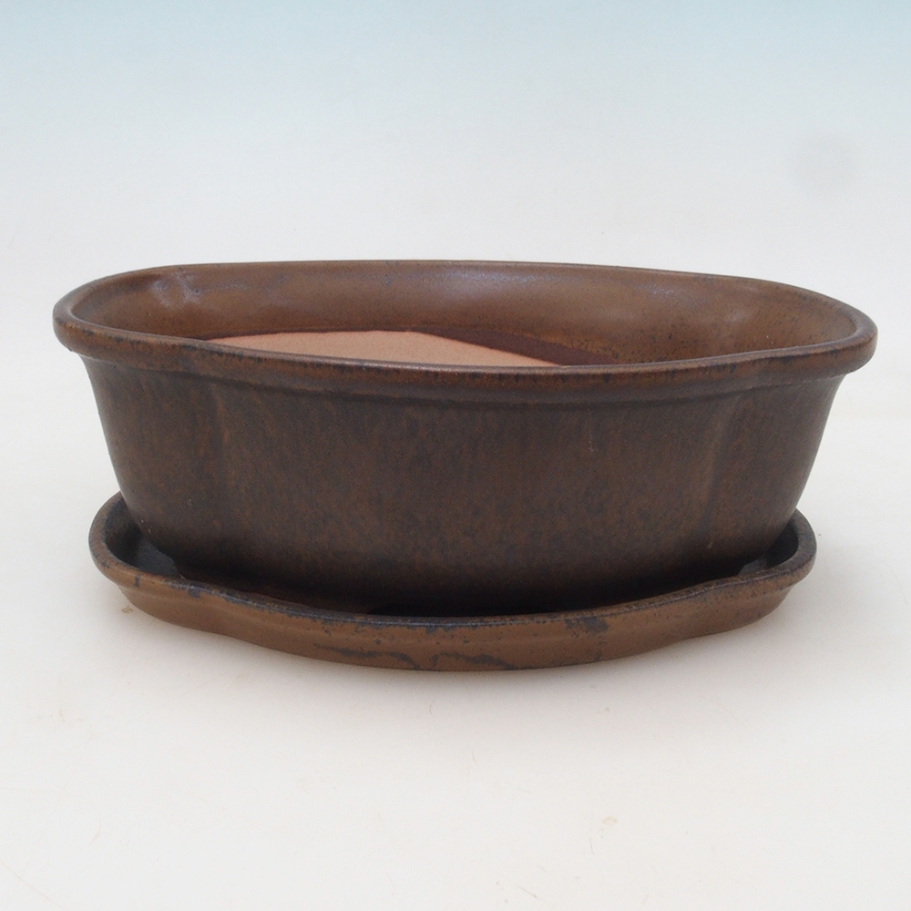 Bonsai kom + schotel H75 - bruin