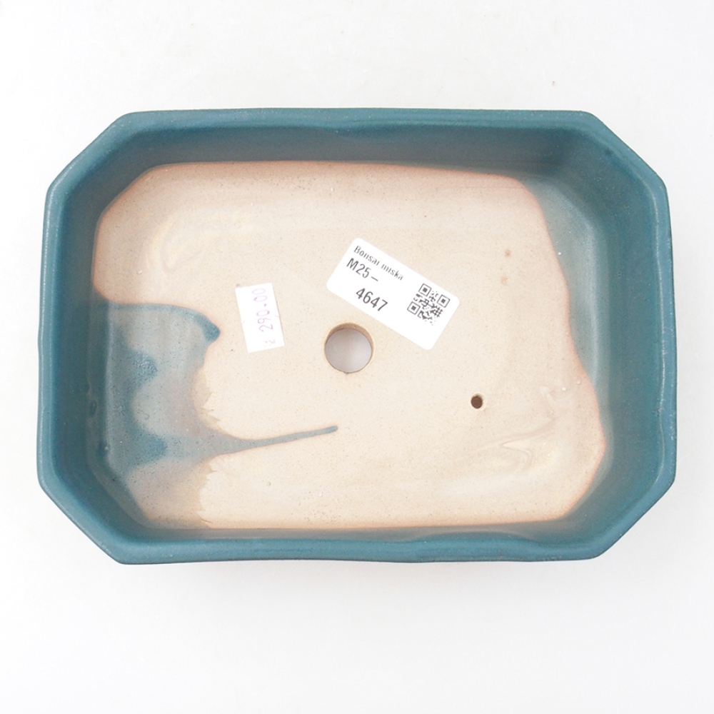 Bonsaischaal van keramiek 19 x 13,5 x 4 cm, kleur blauw