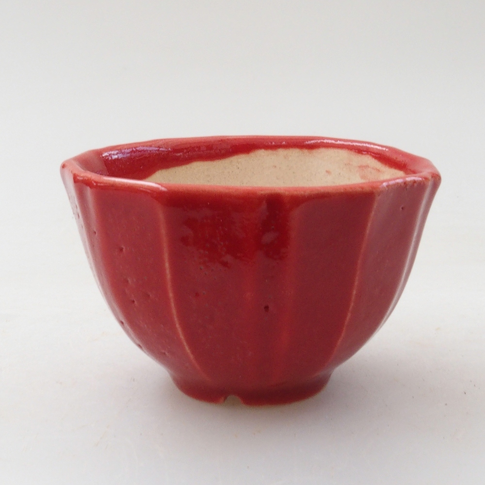 Mini bonsaischaal 5 x 5 x 3 cm, kleur rood