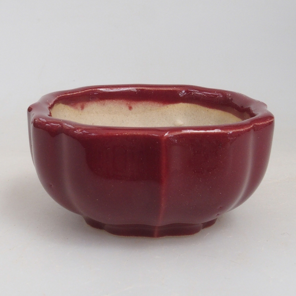Mini bonsaischaal 5,5 x 5,5 x 2,5 cm, bordeauxrood