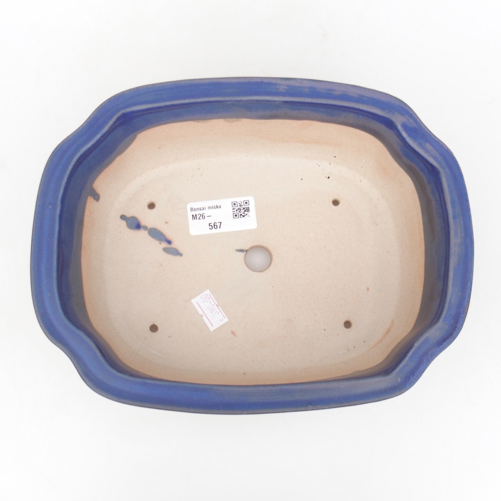 Bonsaischaal van keramiek 22 x 18 x 7,5 cm, kleur blauw