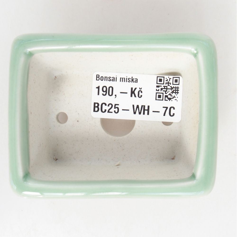 Mini bonsaischaal 8 x 6 x 3 cm, groen