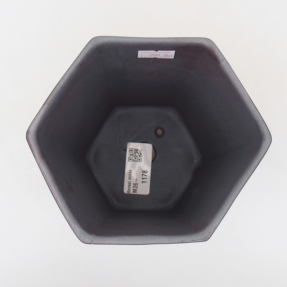 Bonsaischaal van keramiek 13 x 11,5 x 17 cm, metaalkleur