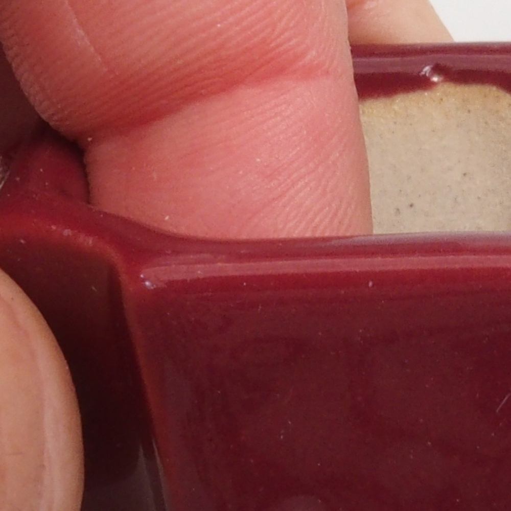 Mini bonsaischaal 4 x 4 x 4 cm, bordeauxrood