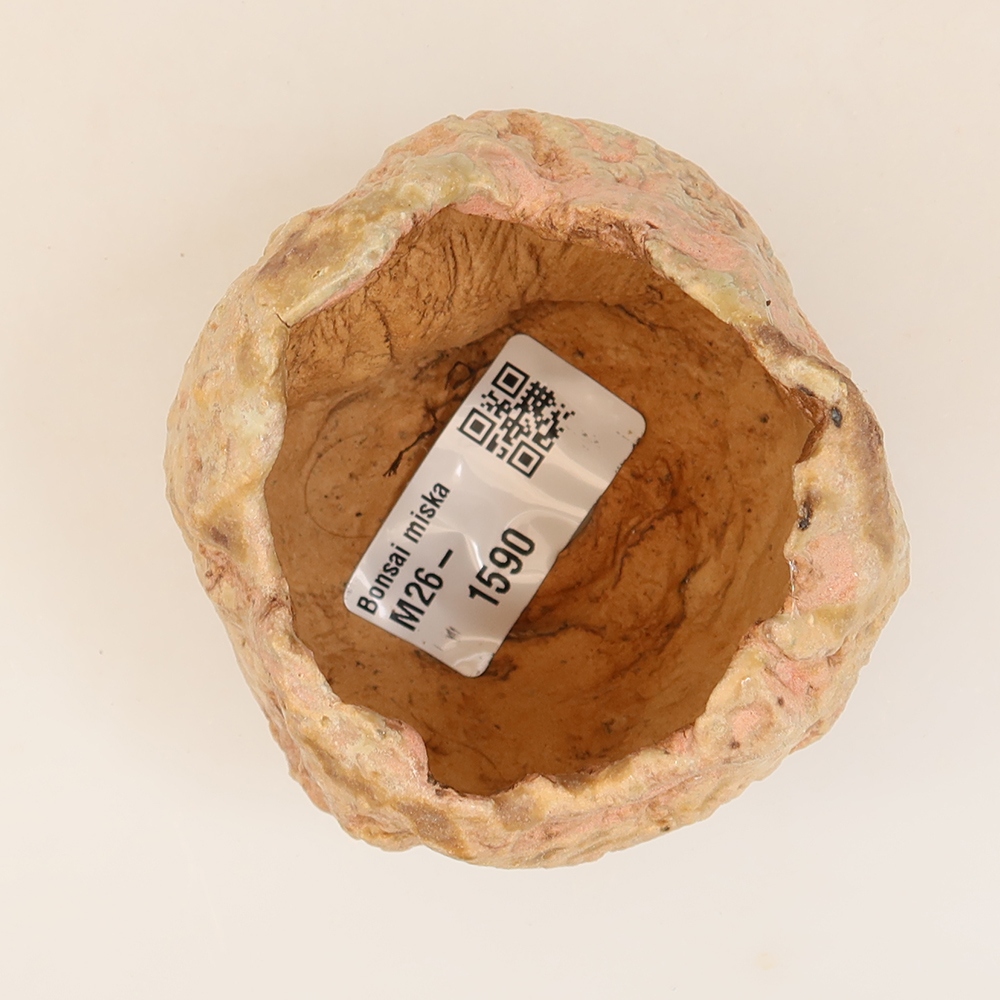 Schelp van keramiek 5 x 5 x 6 cm , kleur roze
