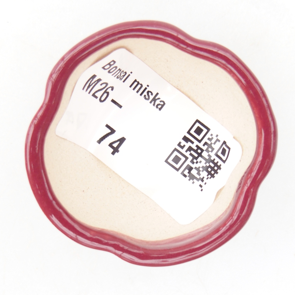 Mini bonsaischaal 4 x 4 x 2 cm, bordeauxrood