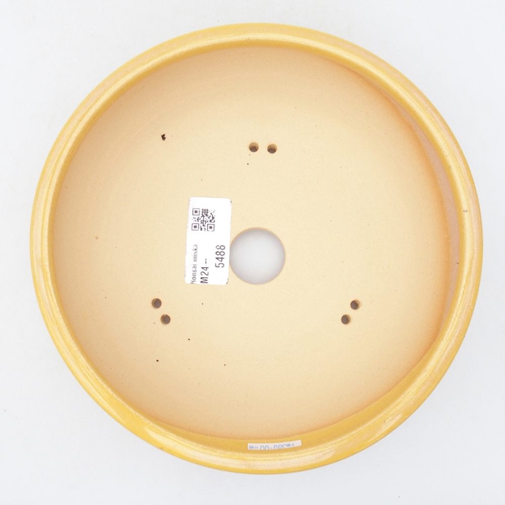 Bonsaischaal van keramiek 18,5 x 18,5 x 6 cm, geel