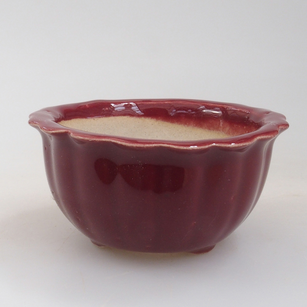 Mini bonsaischaal 6,5 x 6,5 x 3,5 cm, bordeauxrood
