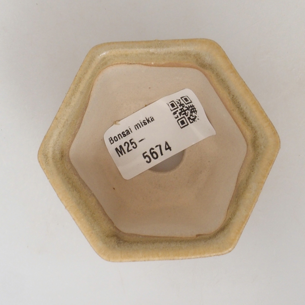 Mini bonsaischaal 7 x 7 x 5 cm, bruin