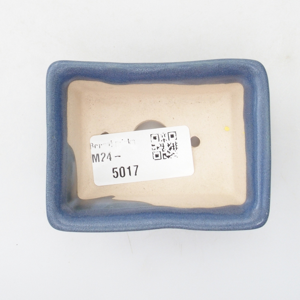 Mini bonsaischaal 8 x 6 x 3 cm, blauw