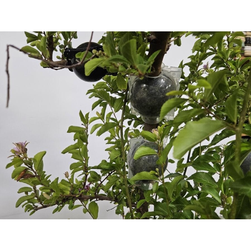 Bollen 12 cm transparant