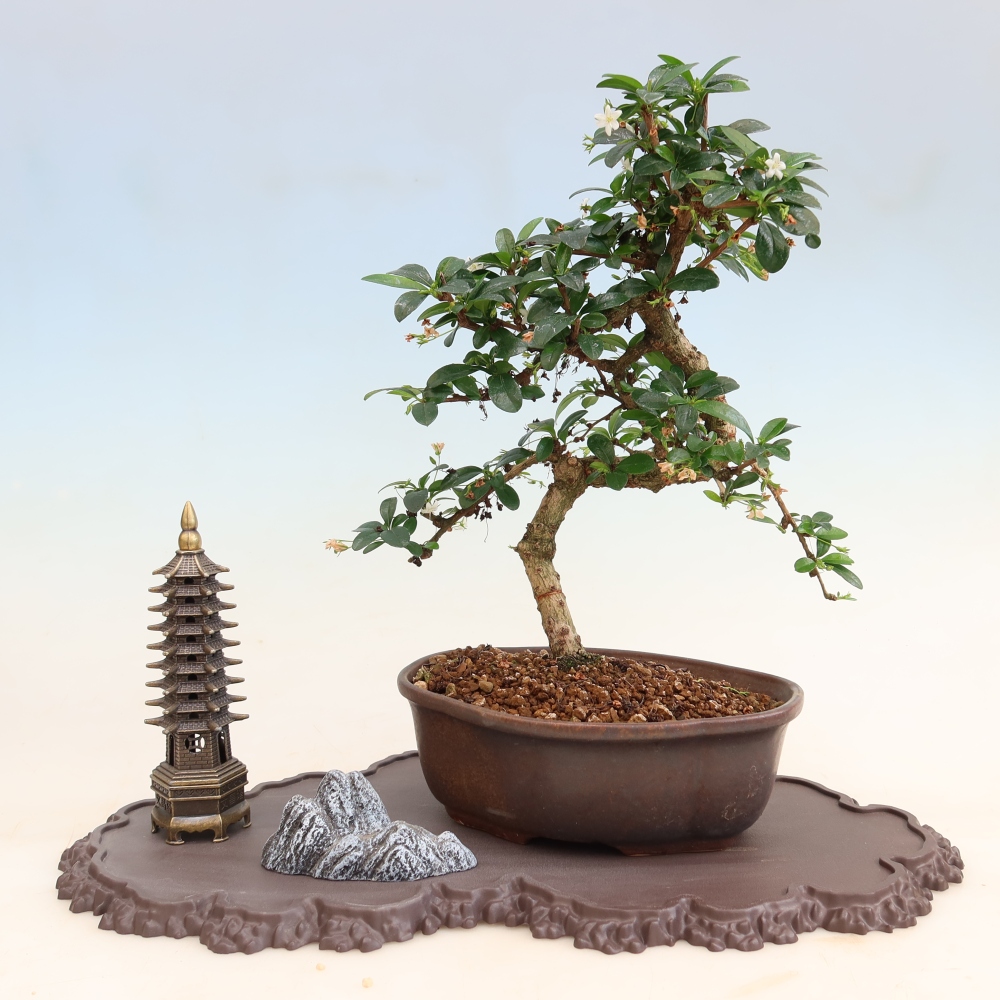 Kunststof voetstuk voor bonsai, 43 x 25 x 1,5 cm, kleur: bruin