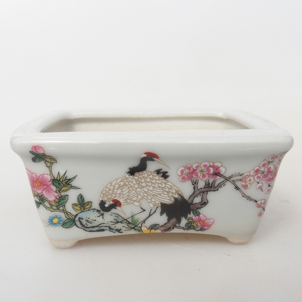 Mini bonsaischaal 8 x 6,5 x 3,5 cm, wit