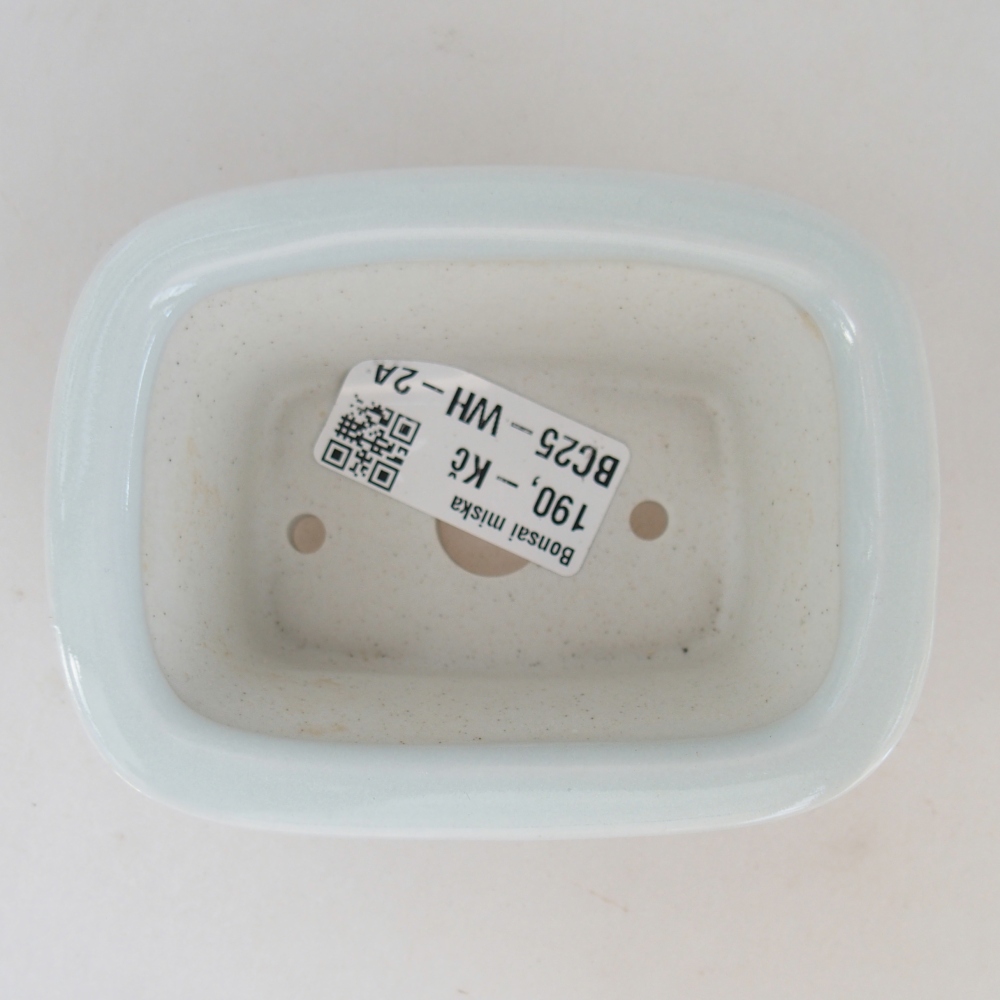 Mini bonsaischaal 10 x 7,5 x 4 cm, kleur wit