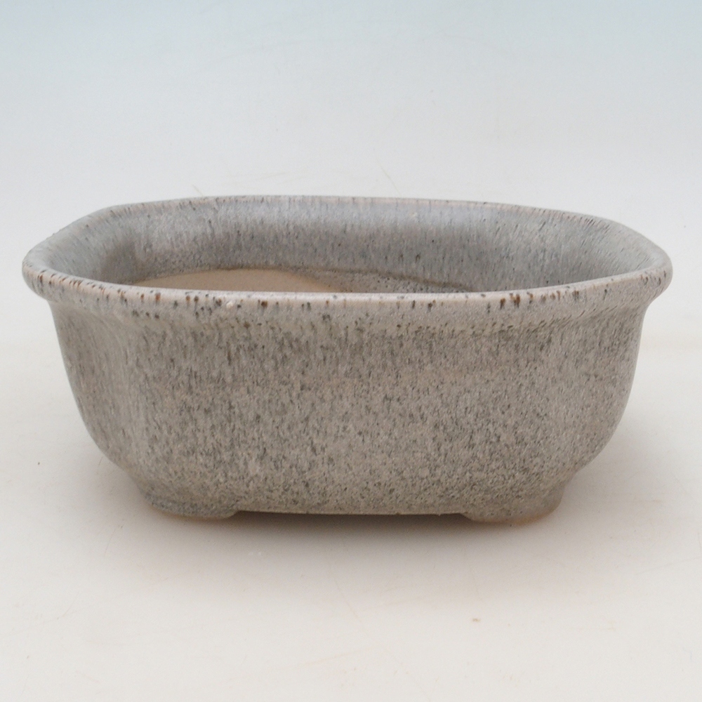 Bonsai kom + schotel H31 - beige