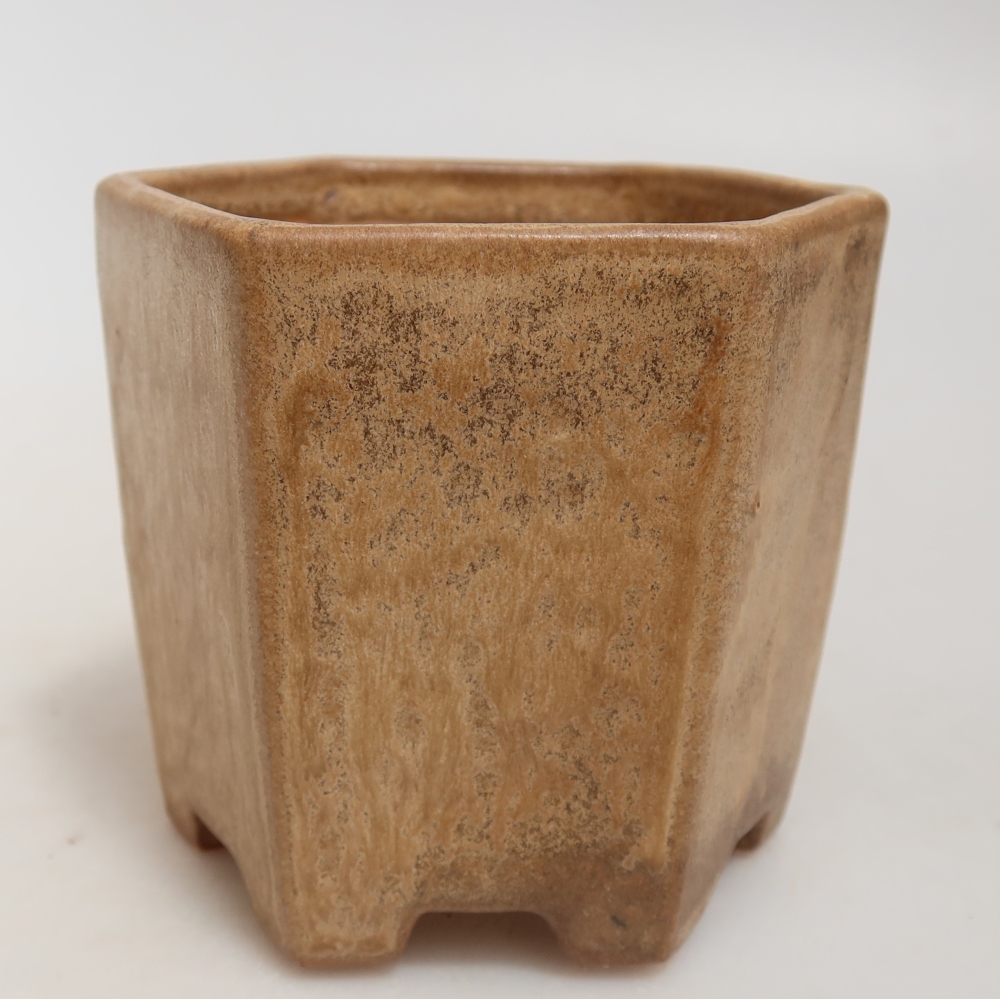 Keramische bonsaischaal 9 x 8,5 x 8 cm, kleur: beige