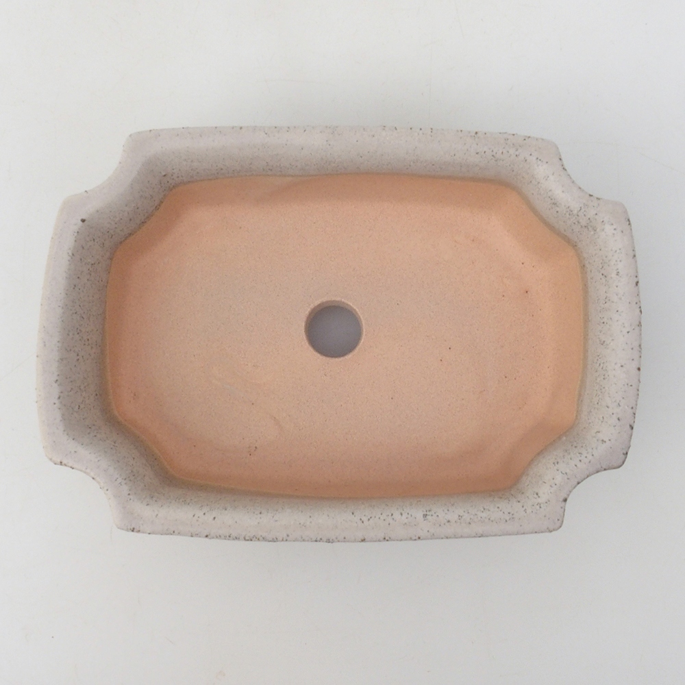 Bonsaischaal H17 - 15 x 10 x 4 cm - beige