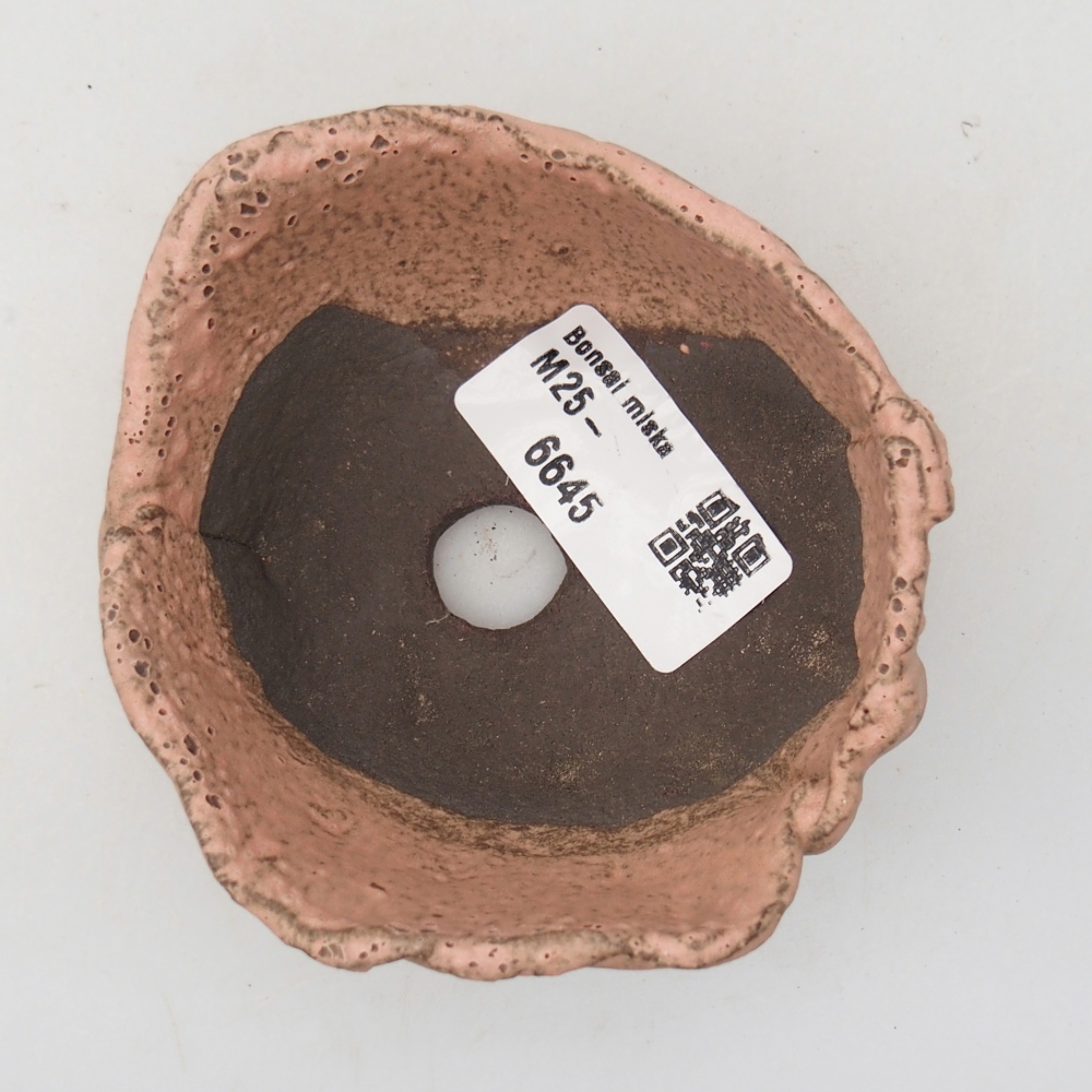 Keramische schelp 9 x 8 x 4 cm , kleur roze