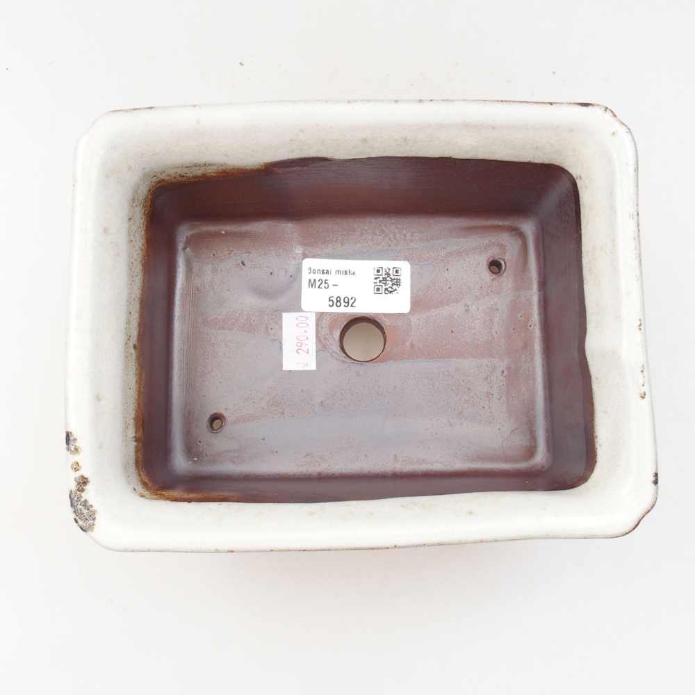 Bonsaischaal van keramiek 22 x 17 x 5 cm, groen