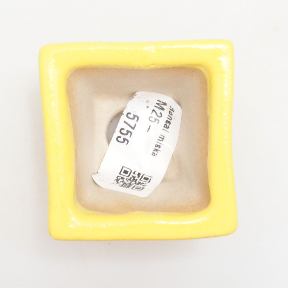 Bonsaischaal van keramiek 5 x 5 x 3,5 cm, geel