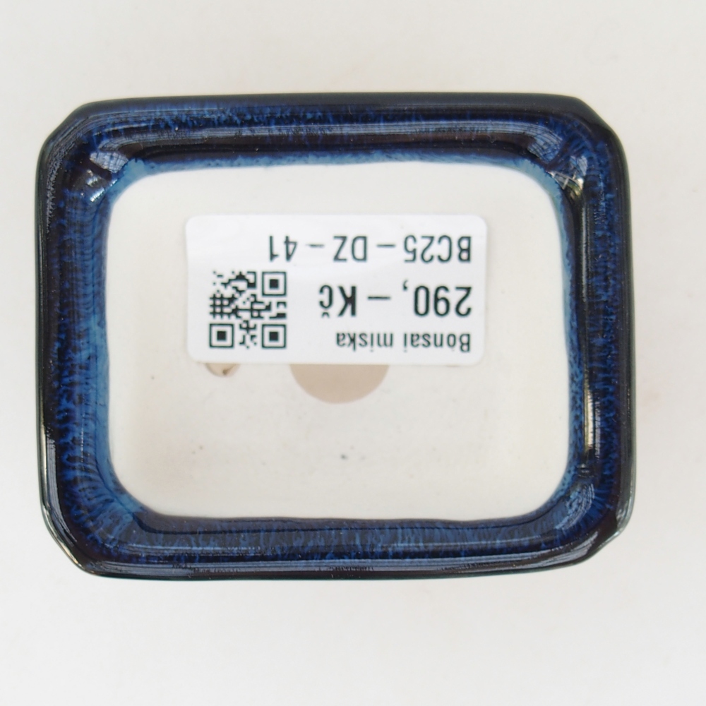 Mini bonsaischaal 7 x 5,5 x 3 cm, kleur blauw