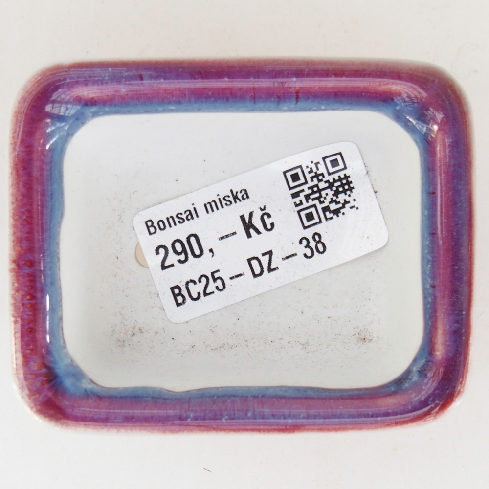 Mini bonsaischaal 7 x 5,5 x 3 cm, kleur paars