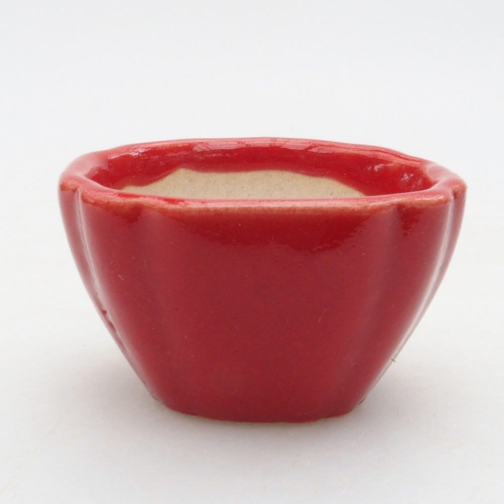 Mini bonsaischaal 4 x 4 x 2,5 cm, kleur rood